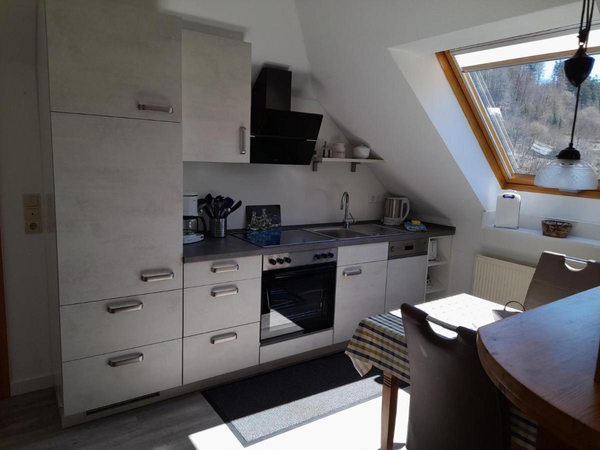 Haus Elsholz Willingen Apartment วิลลิงเงิน ภายนอก รูปภาพ