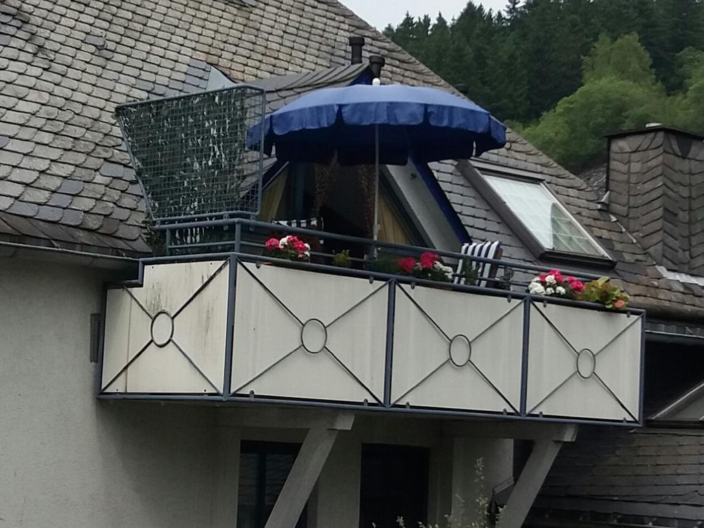 Haus Elsholz Willingen Apartment วิลลิงเงิน ภายนอก รูปภาพ