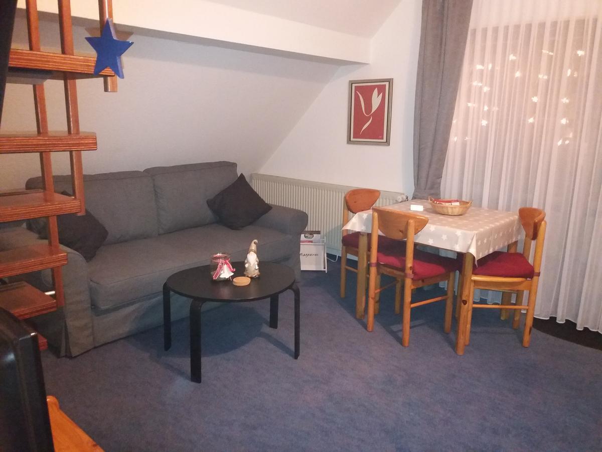 Haus Elsholz Willingen Apartment วิลลิงเงิน ภายนอก รูปภาพ